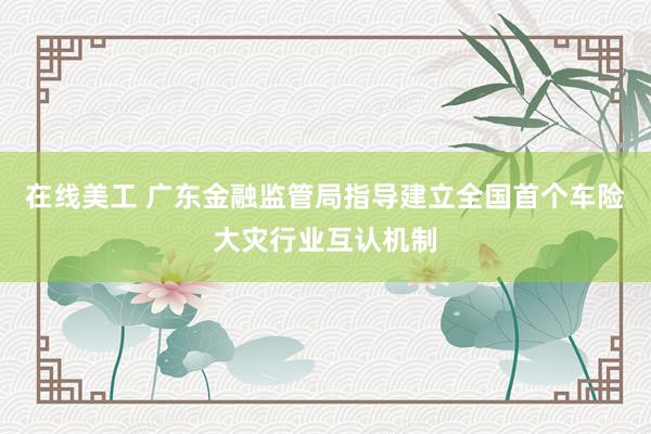 在线美工 广东金融监管局指导建立全国首个车险大灾行业互认机制