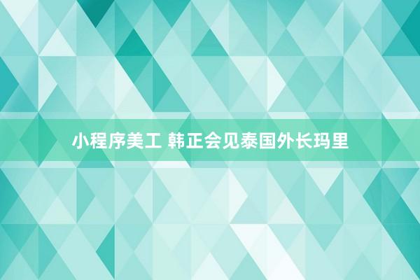 小程序美工 韩正会见泰国外长玛里