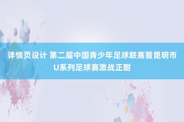 详情页设计 第二届中国青少年足球联赛暨昆明市U系列足球赛激战正酣